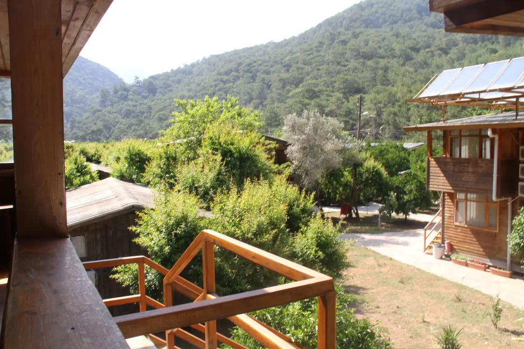Olimpos Ağaç Evler