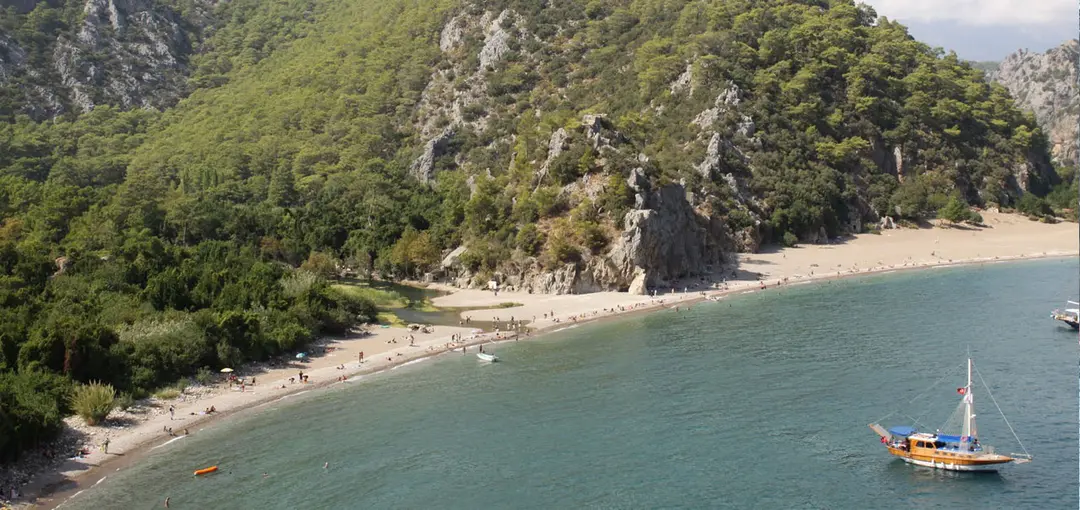 Olimpos Ağaç Evler — Antalya — küçük resim 5