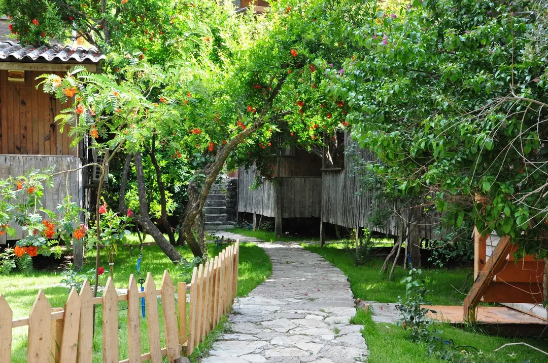 Olimpos Ağaç Evler — Antalya — küçük resim 4