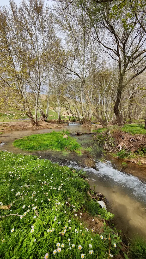 KARASU REŞAN — Diyarbakır — küçük resim 5