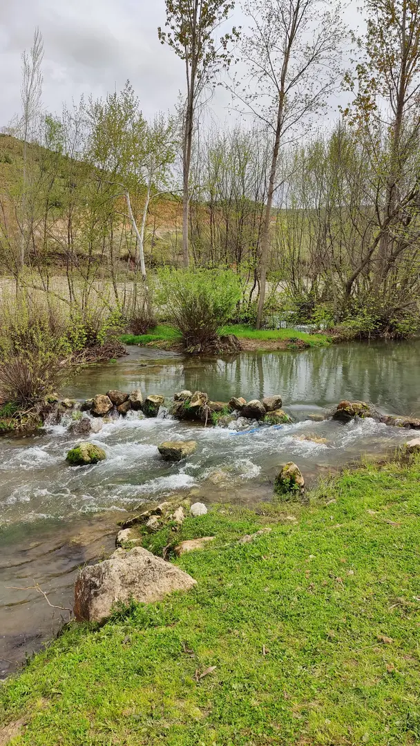 KARASU REŞAN — Diyarbakır — küçük resim 4