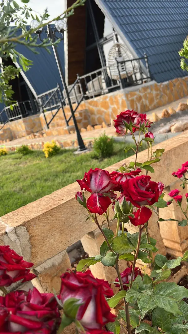 Mardin Bungalov — Mardin — küçük resim 5