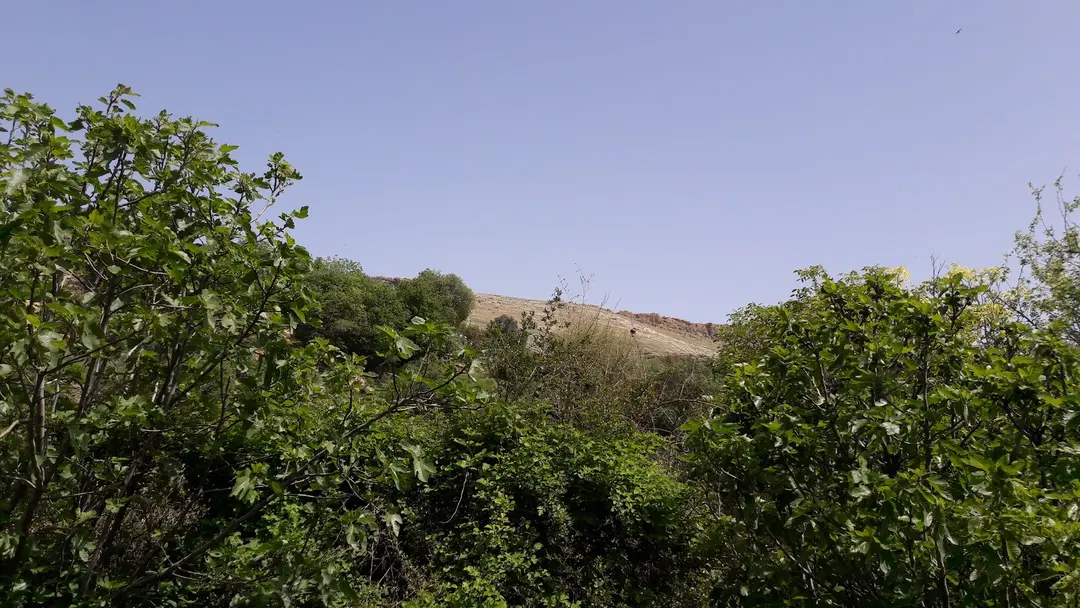 Ērs Koyü Şelalesi — Mardin — küçük resim 9