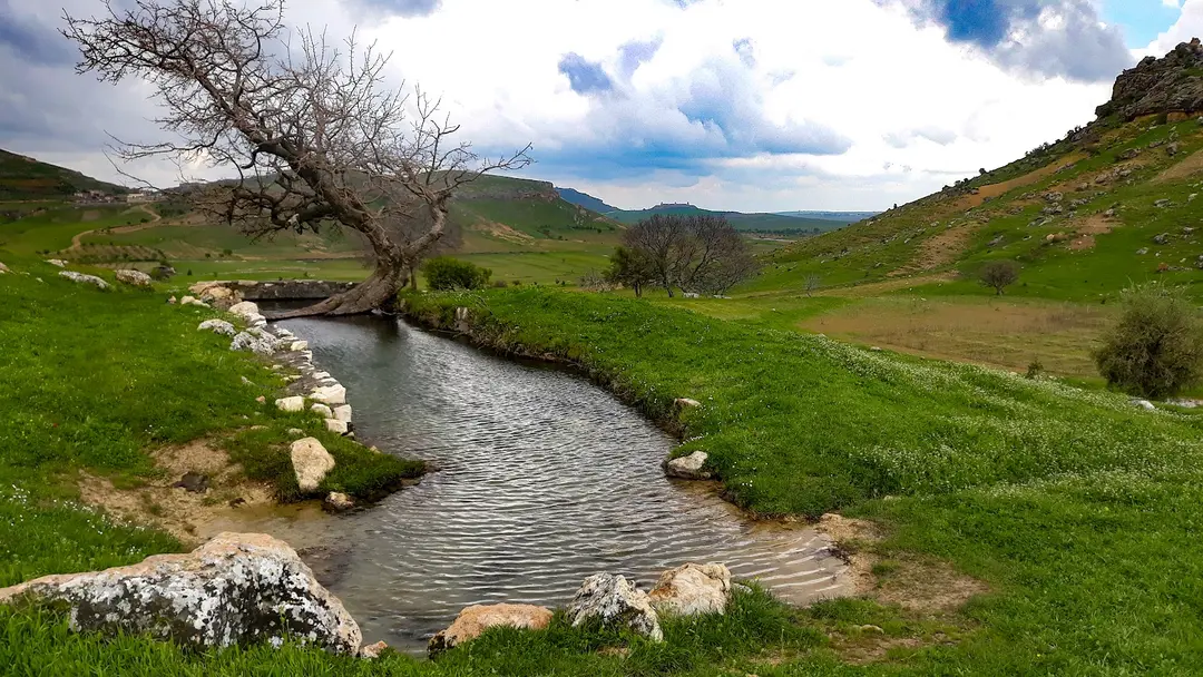 MARDİN Artuklu walnut village kanigürya — Mardin — küçük resim 4