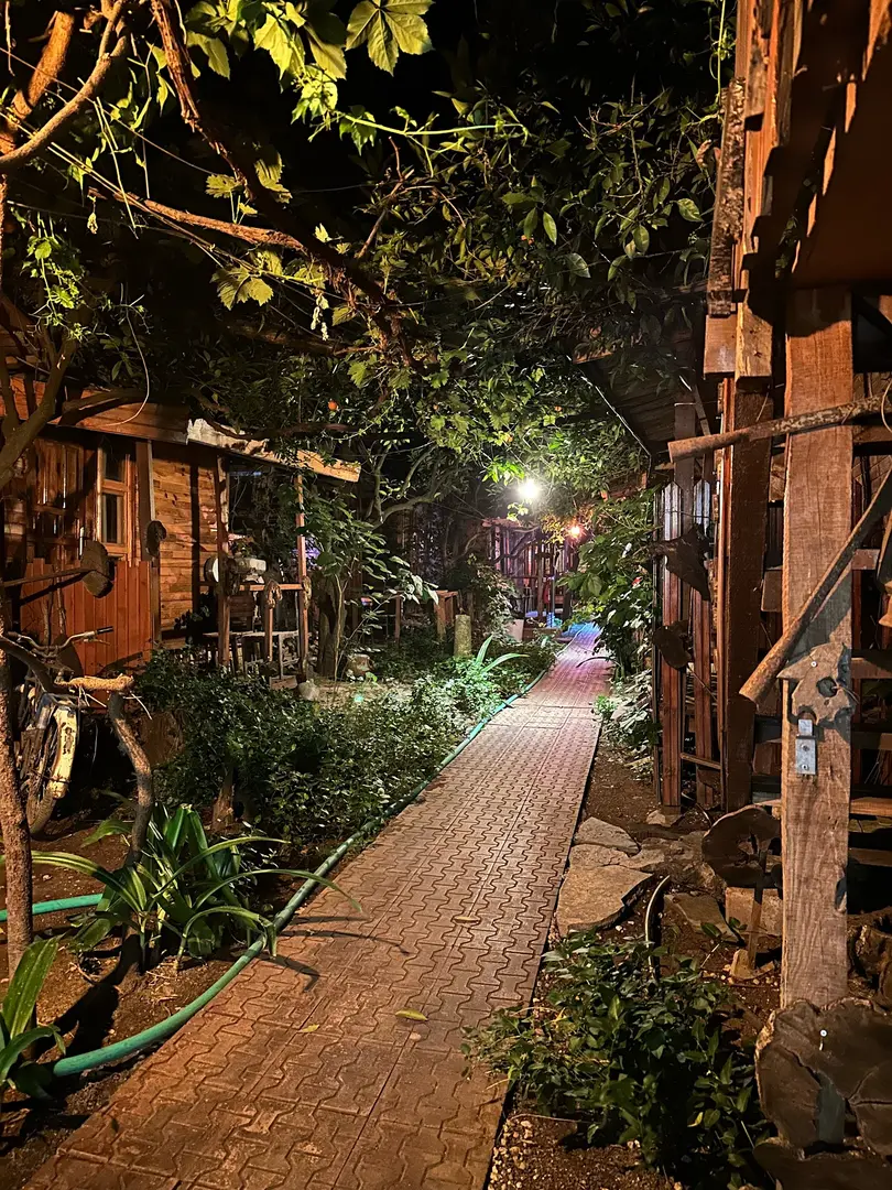Olimpos Natural Pansiyon — Antalya — küçük resim 6
