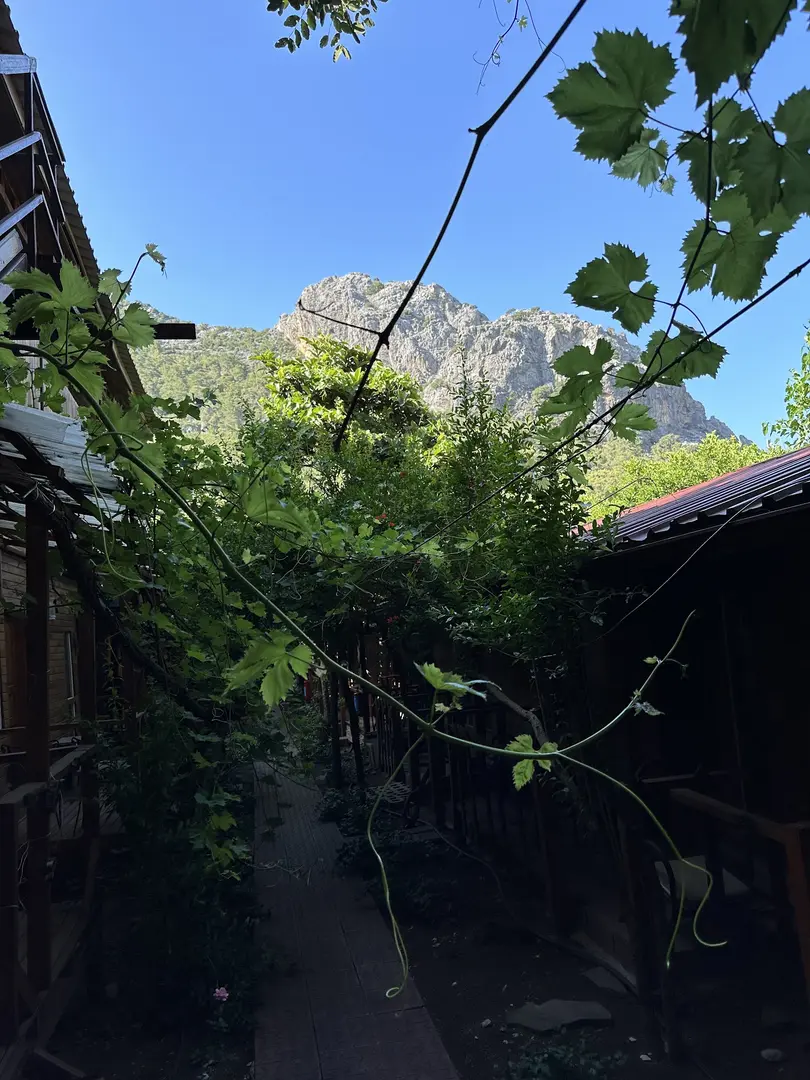 Olimpos Natural Pansiyon — Antalya — küçük resim 10