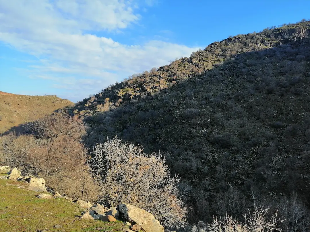 Miyalan-yabanardi-koyu Şelalesi — Diyarbakır — küçük resim 4