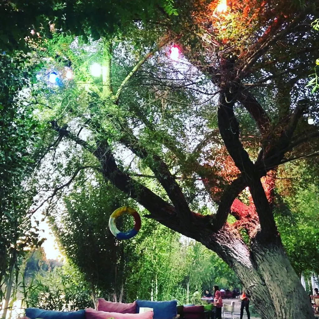 Doğa Family Tea Garden — Diyarbakır — küçük resim 4