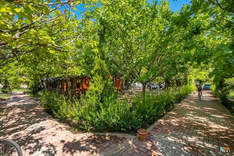 Likya Yanartaş Bungalows — Antalya — küçük resim 8
