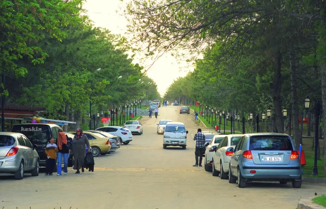 Zafran Mesire Yeri — Elazığ — küçük resim 7