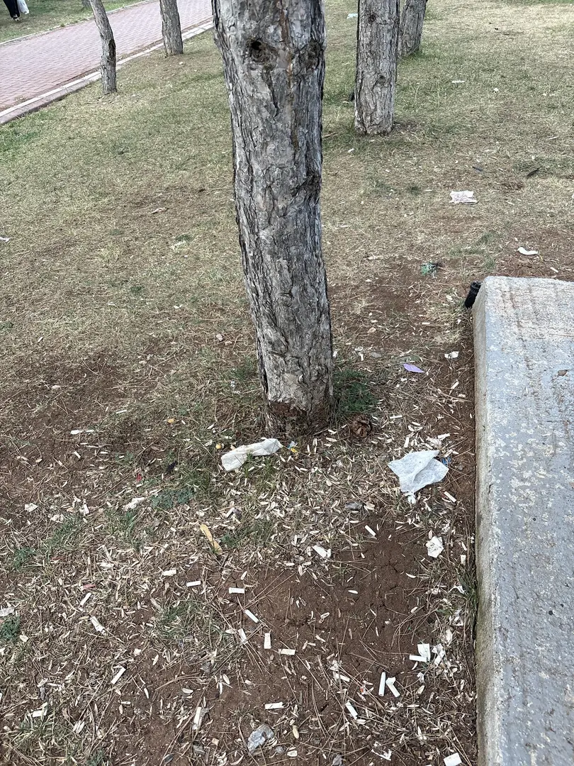 Zafran Mesire Yeri — Elazığ — küçük resim 9