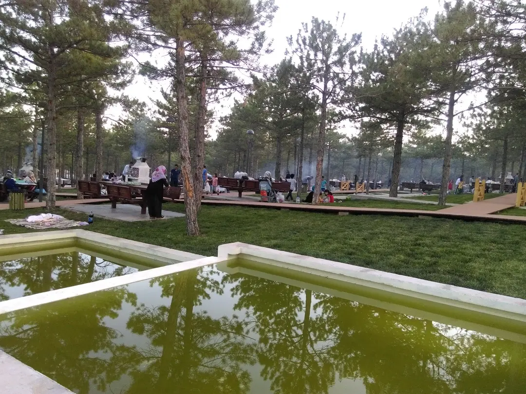 Zafran Mesire Yeri — Elazığ — küçük resim 4