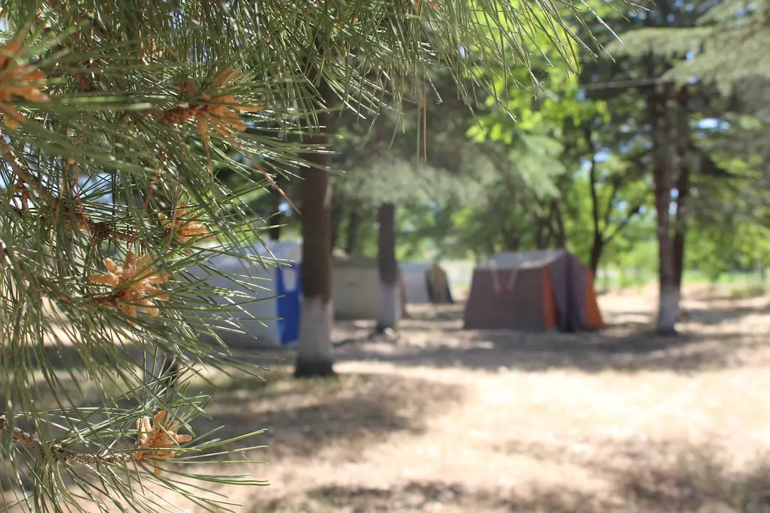 Gezin Örnek Tent Camping — Elazığ — küçük resim 9