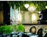 Aspera Event Home (Aspera Organizasyon)