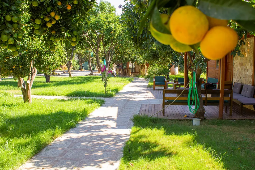 Mandarin Bungalow — Antalya — küçük resim 7