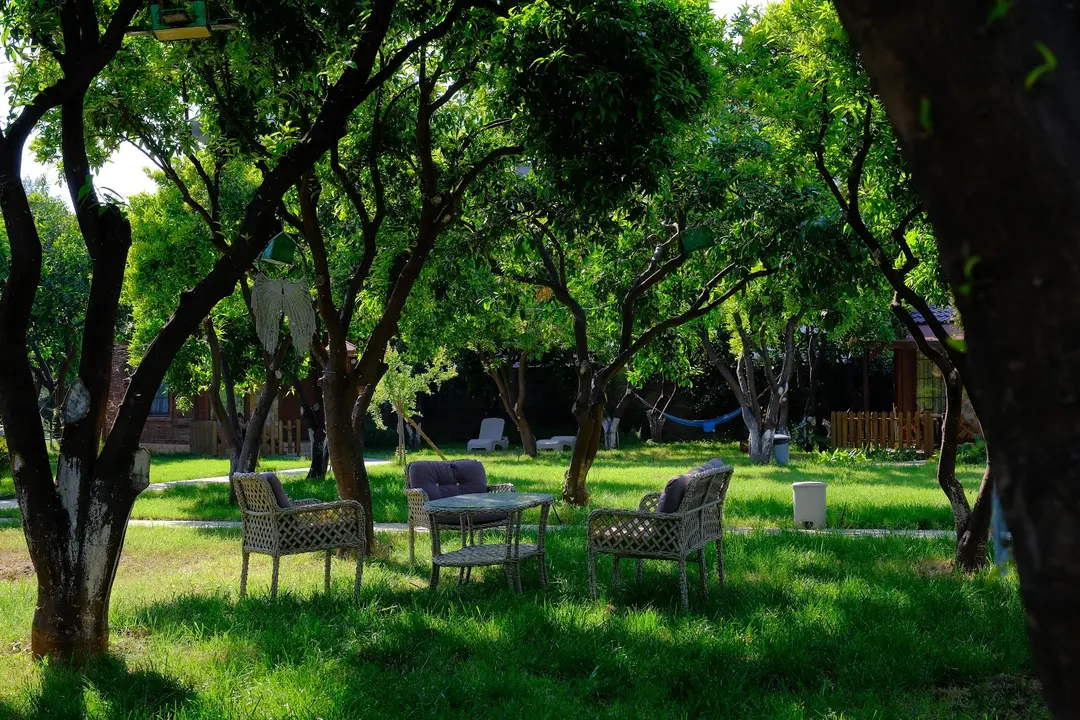Mandarin Bungalow — Antalya — küçük resim 5