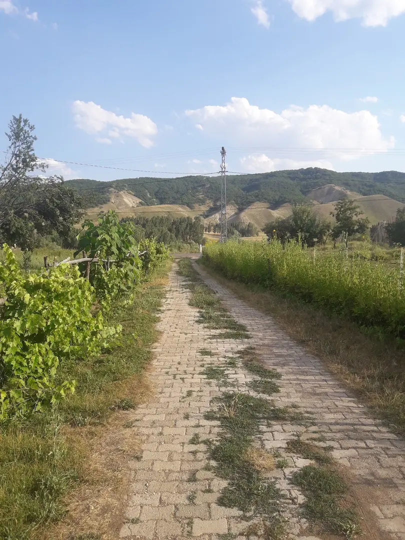 Çe Rayvan (Yolcu Evi) pensionat — Tunceli — küçük resim 2