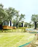 Elies Glamping