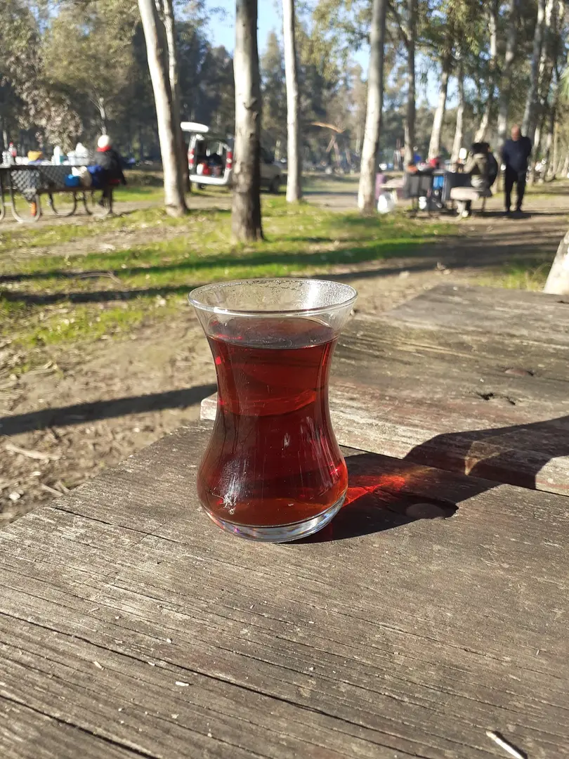 Sasalı Piknik Alanı — İzmir — küçük resim 7