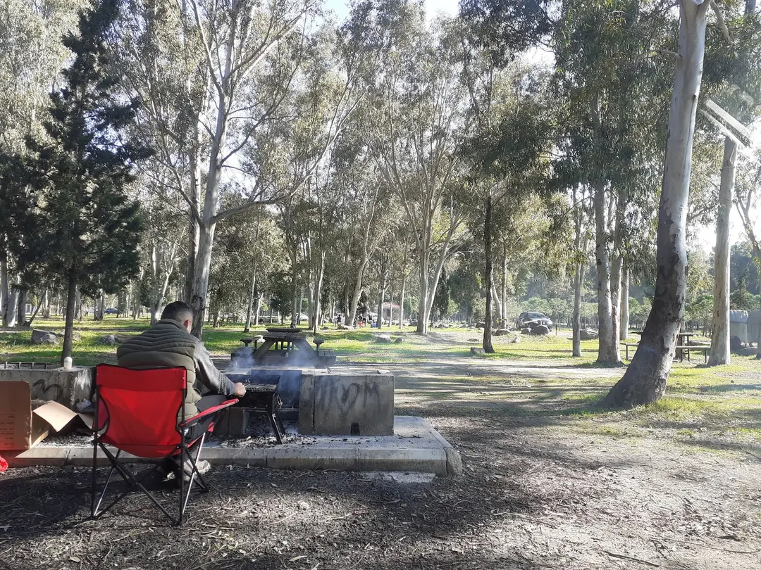 Sasalı Piknik Alanı — İzmir — küçük resim 2