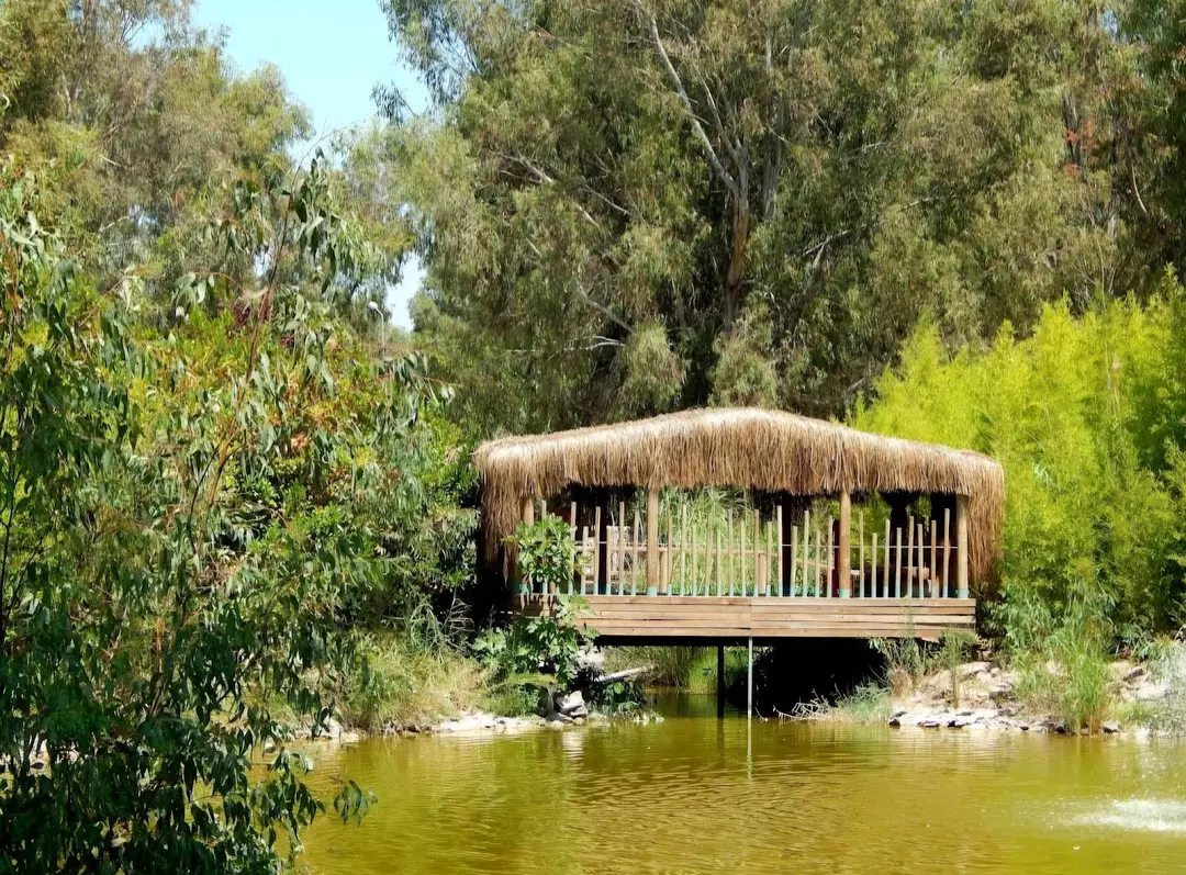 Sasalı Piknik Alanı — İzmir — küçük resim 4
