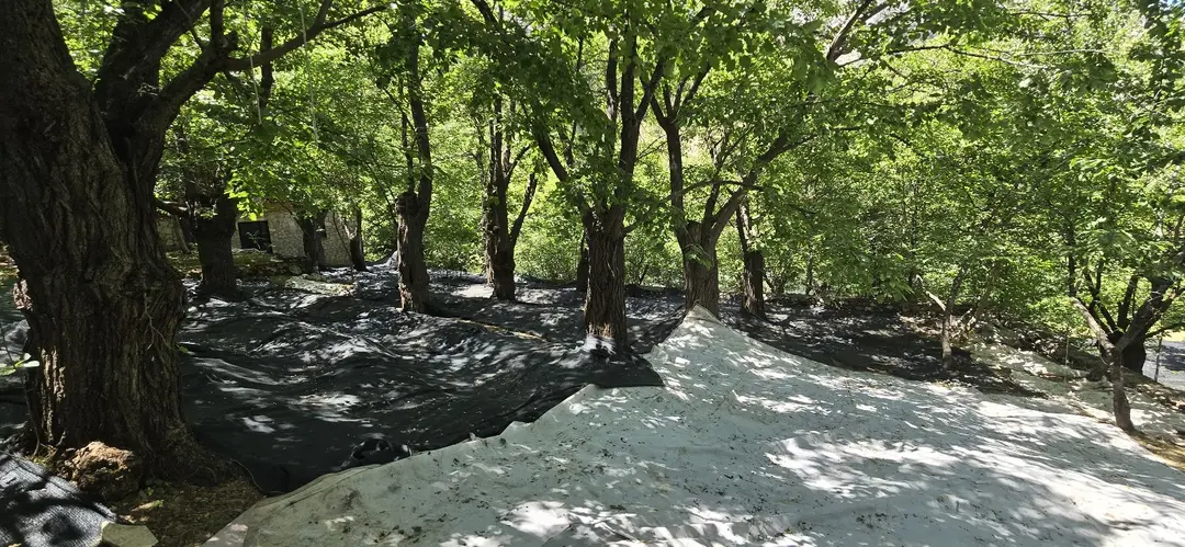 Yuva Köy Cultural Center, Camping Site — Erzincan — küçük resim 9