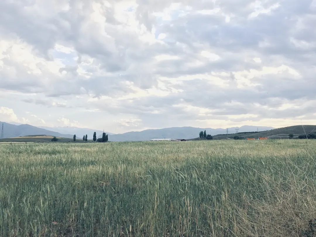 Esentepe Tabiat Parkı — Erzincan — küçük resim 7
