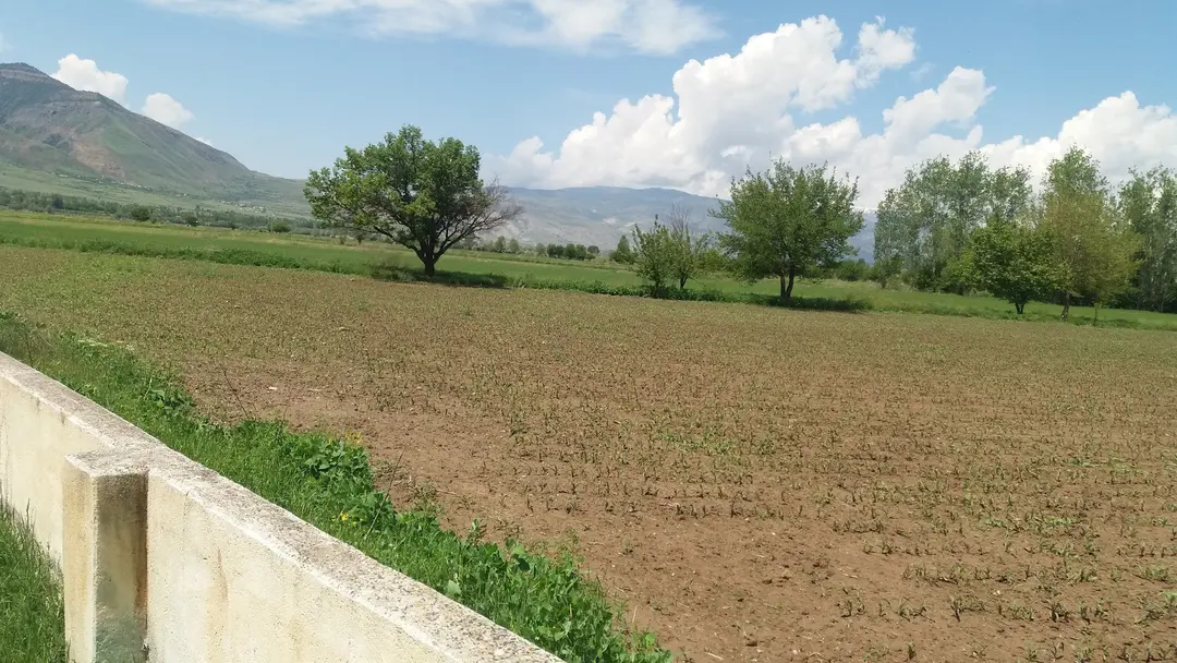 Erzincan Fenerbahçeliler Dern. Hatıra Ormanı