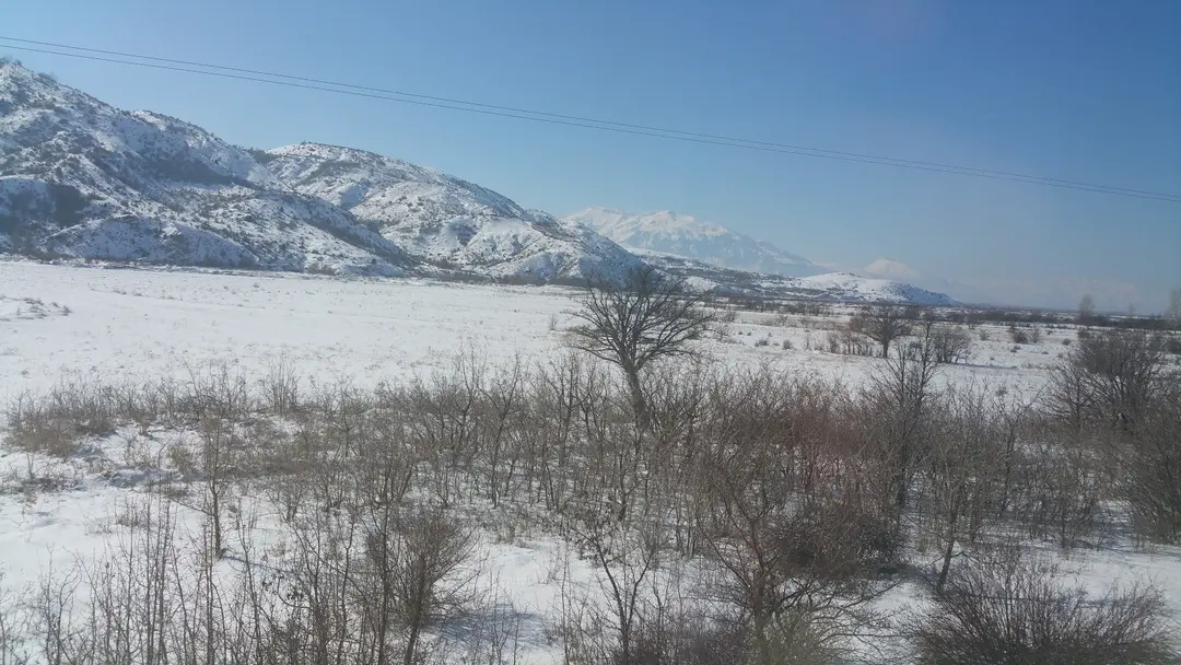 Erzincan Fenerbahçeliler Association. Memorial Forest — Erzincan — küçük resim 6