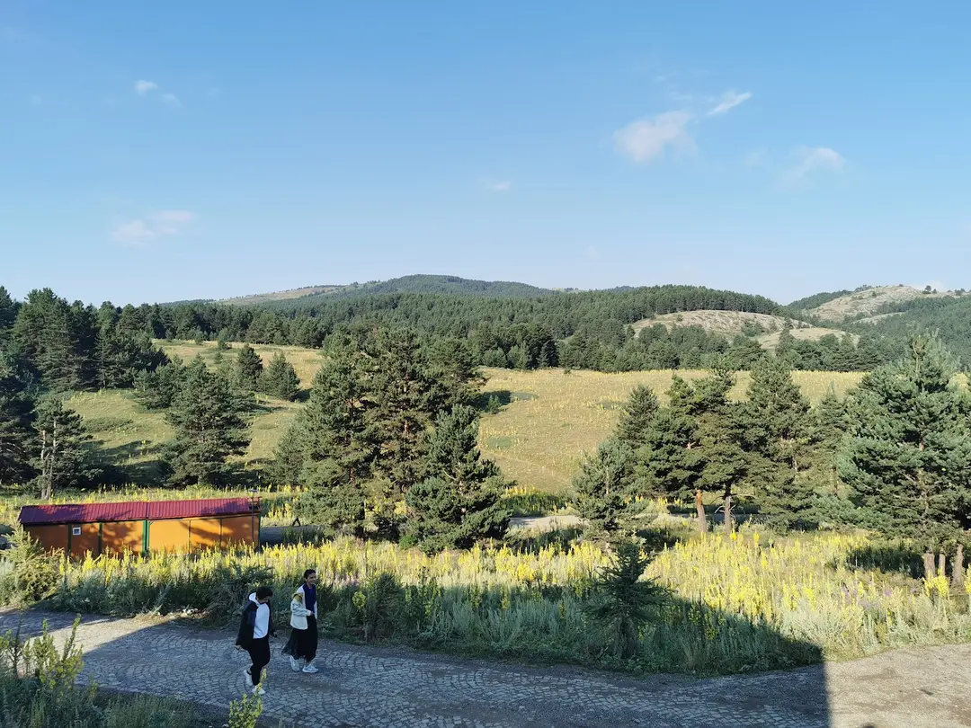 Dumanlı Ahşap Holiday Houses — Erzincan — küçük resim 7