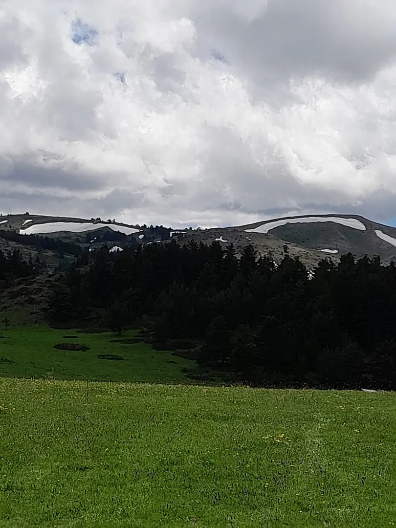 Dumanlı Tabiat Parkı — Erzincan — küçük resim 8