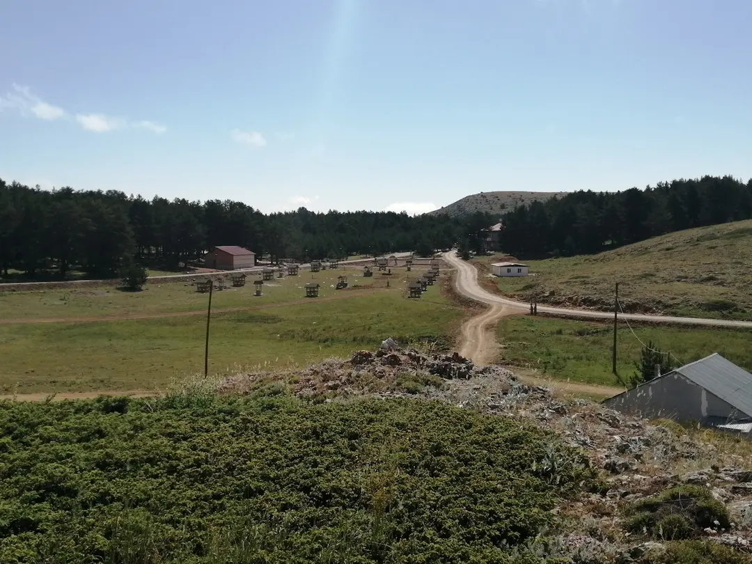Dumanlı Tabiat Parkı — Erzincan — küçük resim 9