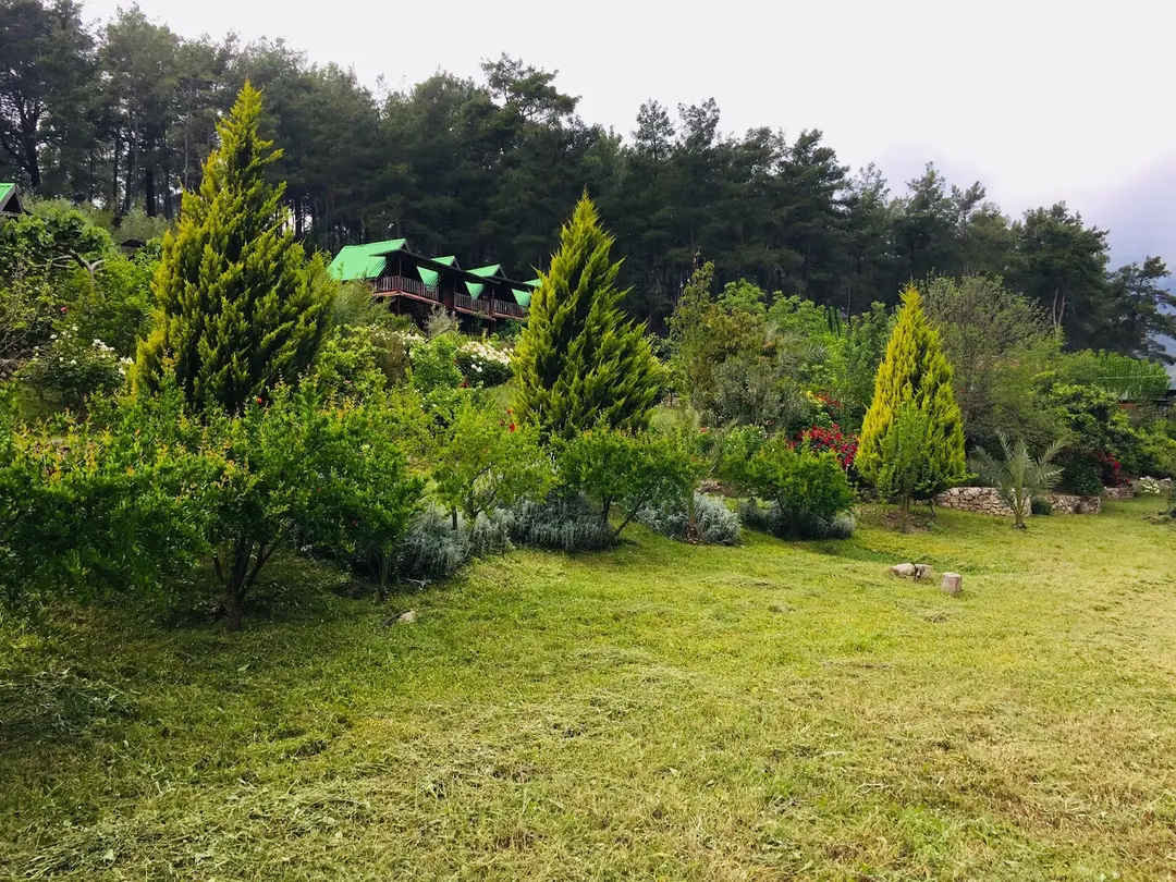 OLİMPOS OTANTİK PANSİYON — Antalya — küçük resim 8