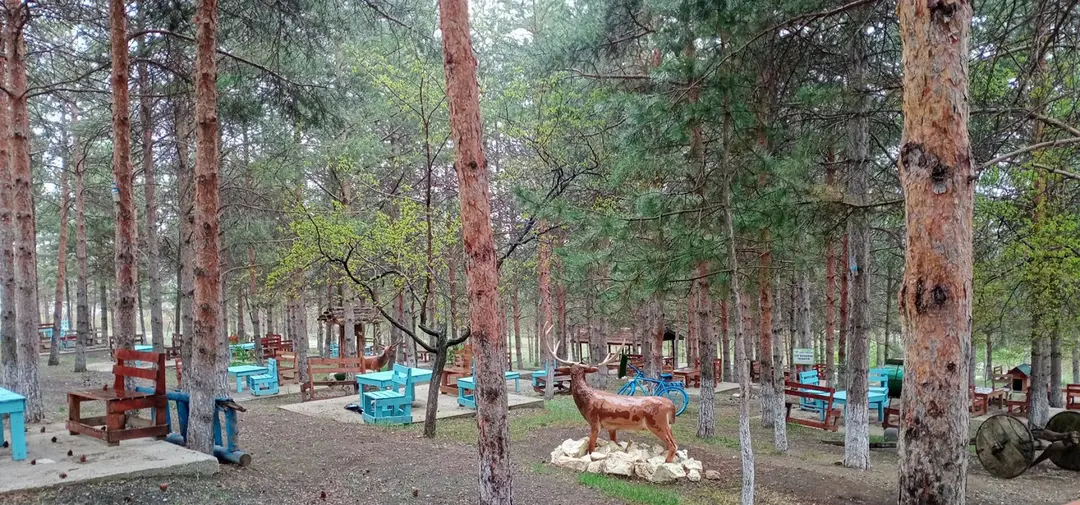 Erzincan Atatürk City Forest — Erzincan — küçük resim 3