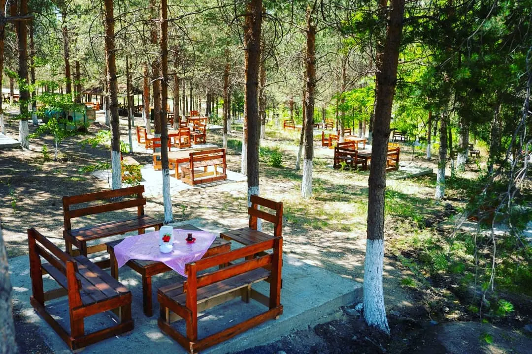 Erzincan Atatürk City Forest — Erzincan — küçük resim 4