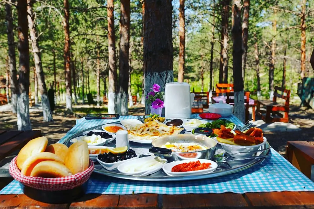 Erzincan Atatürk City Forest — Erzincan — küçük resim 2