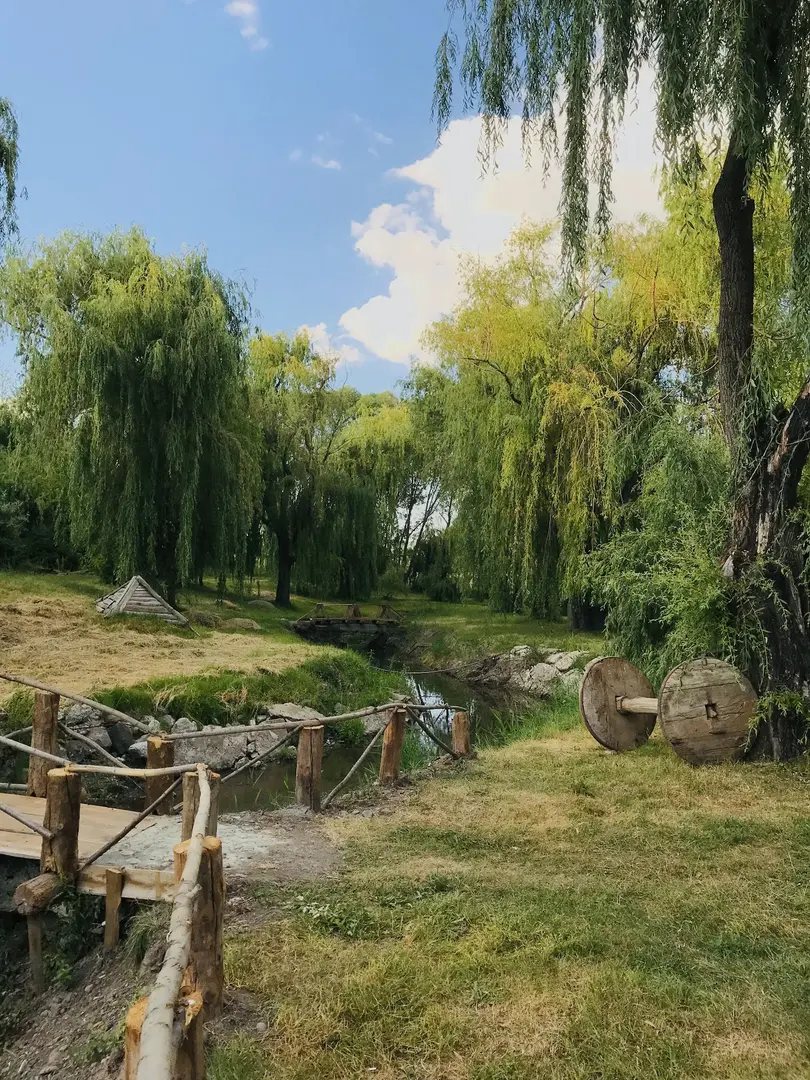 There is a picnic camping area at Yeşil Vadi Trout — Erzurum — küçük resim 10