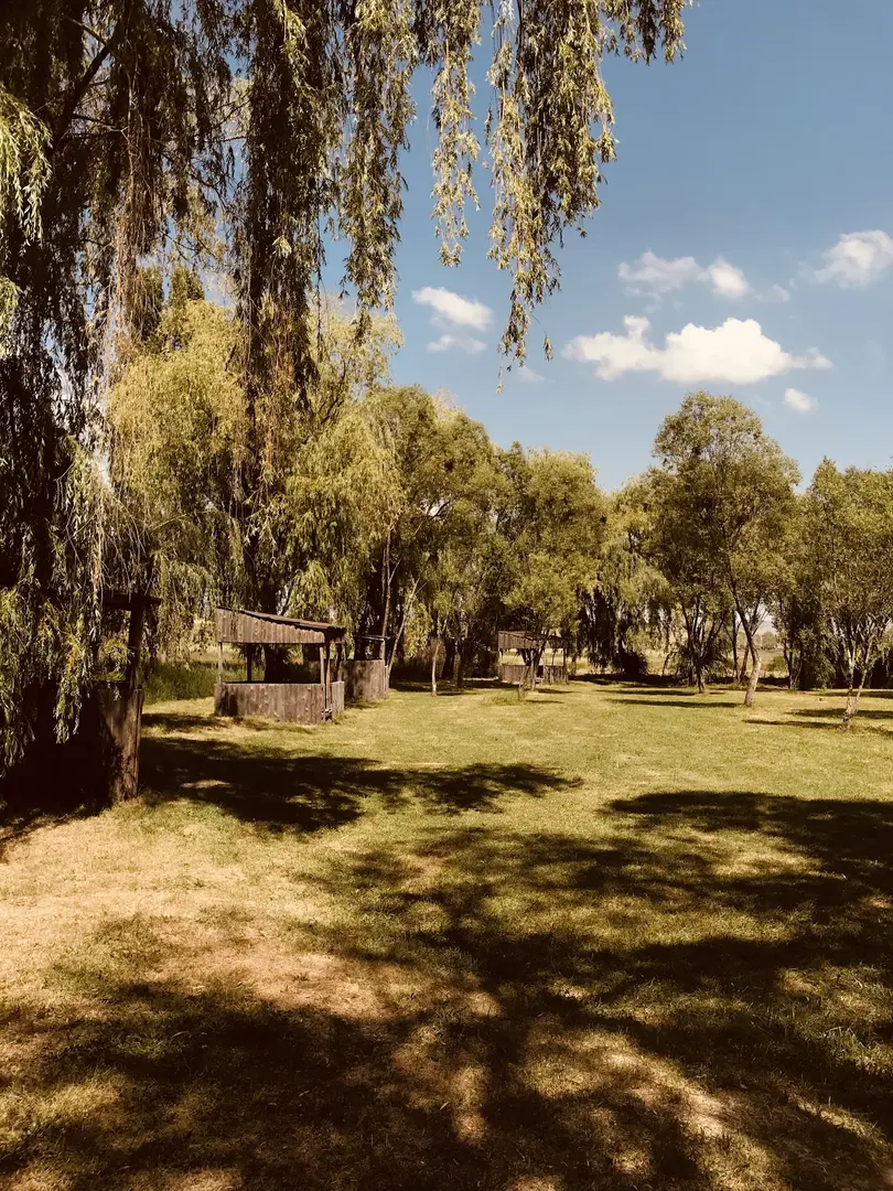 There is a picnic camping area at Yeşil Vadi Trout — Erzurum — küçük resim 2