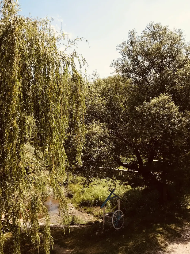 There is a picnic camping area at Yeşil Vadi Trout — Erzurum — küçük resim 6