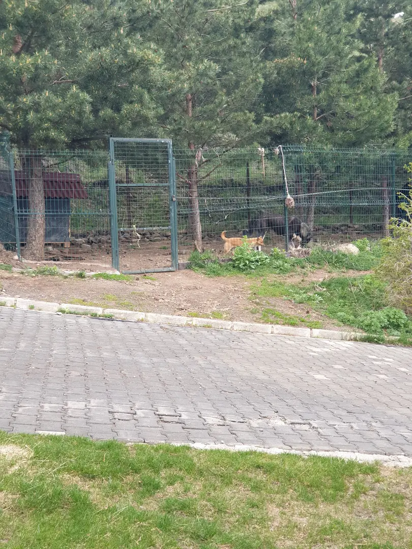 Erzurum Kent Ormanı