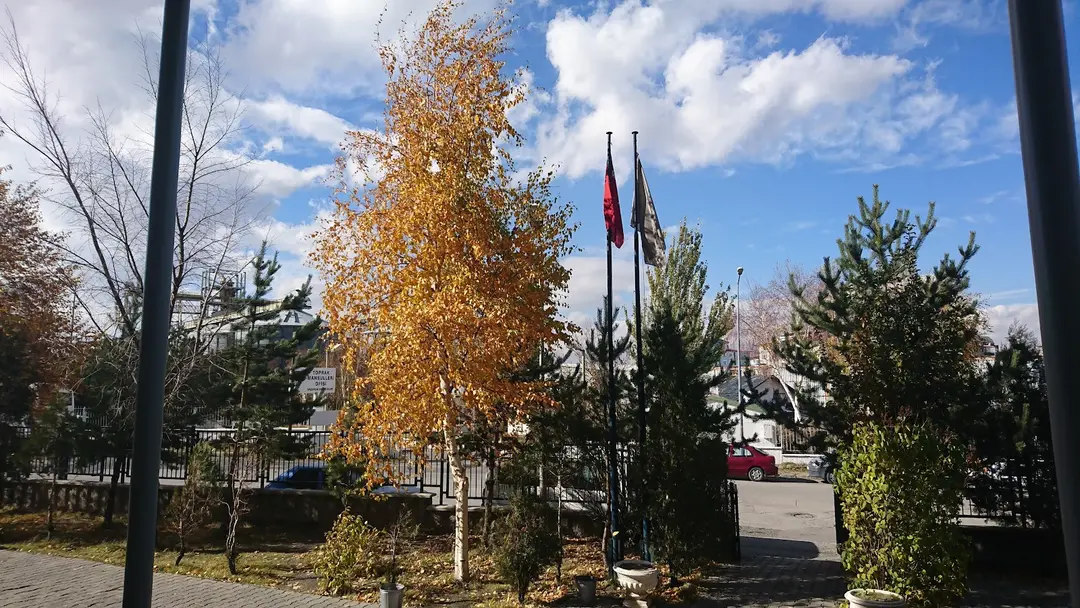 Milli Mücadele Parkı