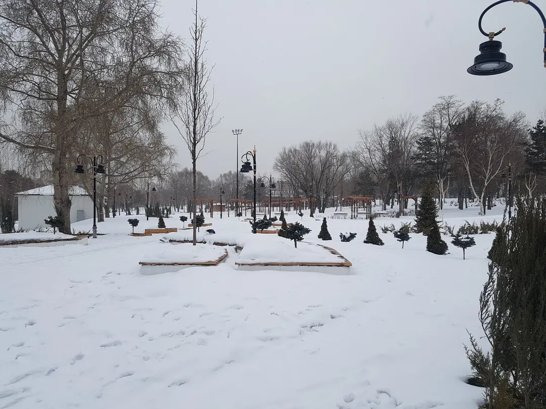 100. Yıl Parkı