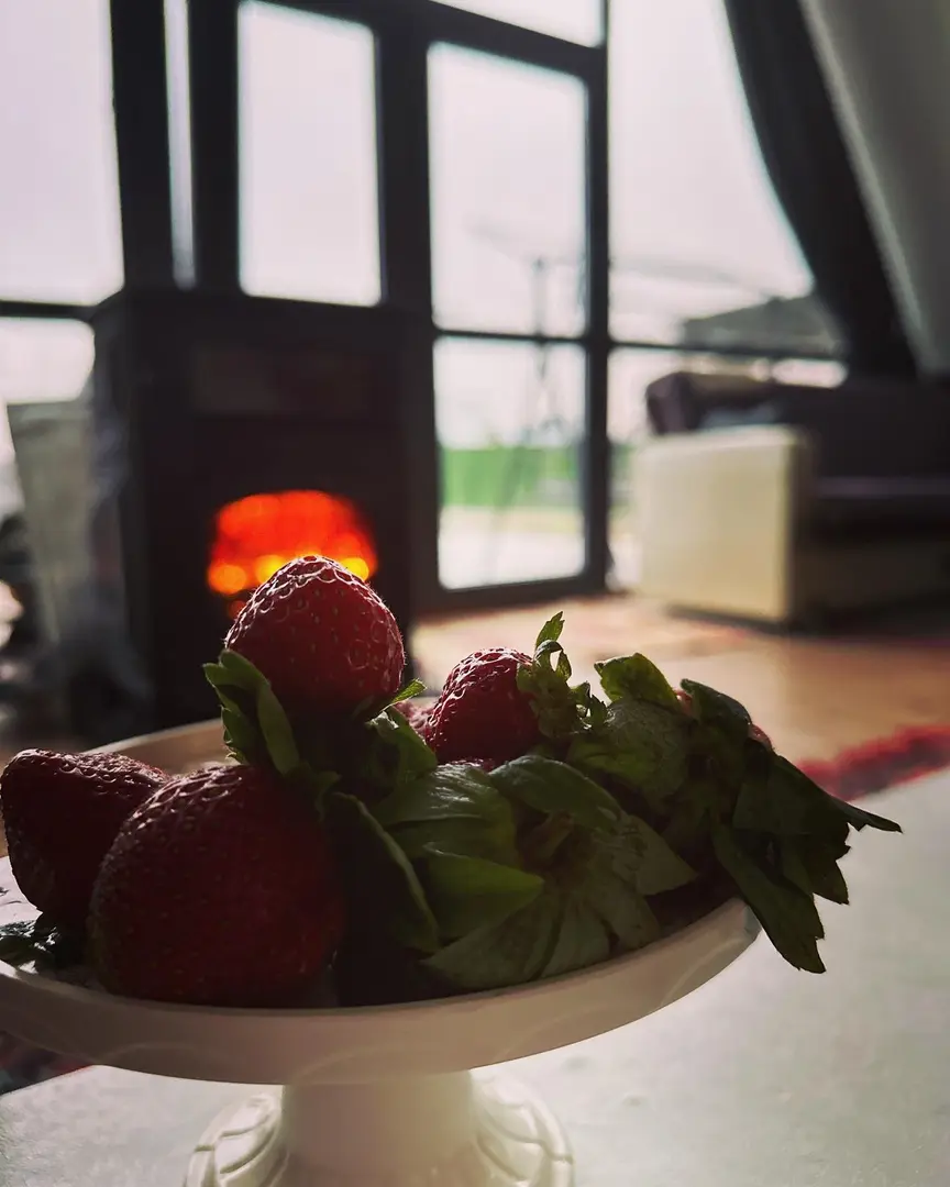 Erzurum Bungalov Hotel — Erzurum — küçük resim 2