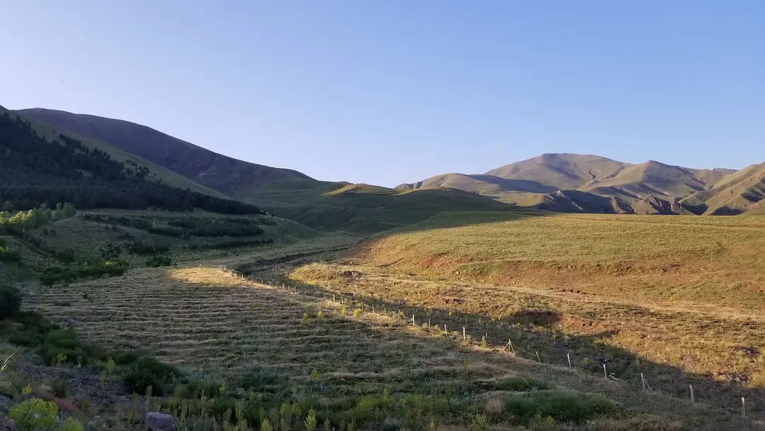 Abdurrahman Gazi Mesire Alanı