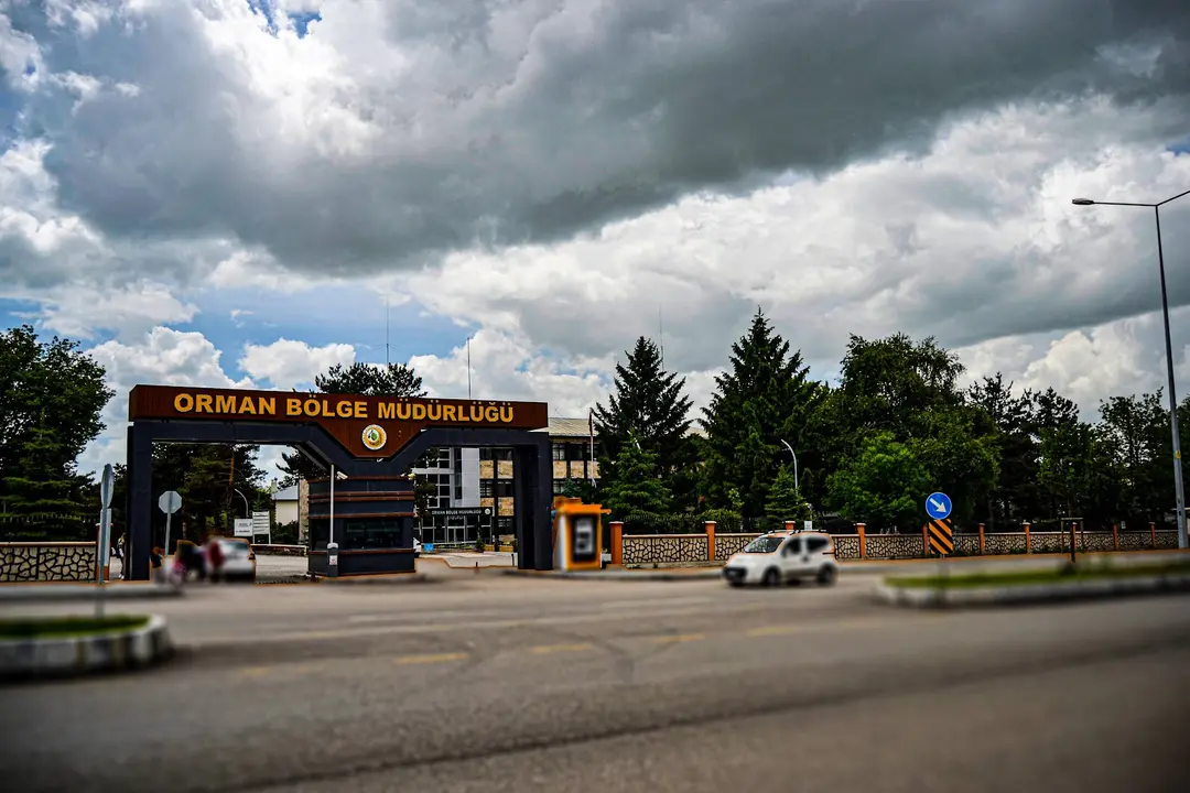 Erzurum Forest Regional Directorate — Erzurum — küçük resim 6
