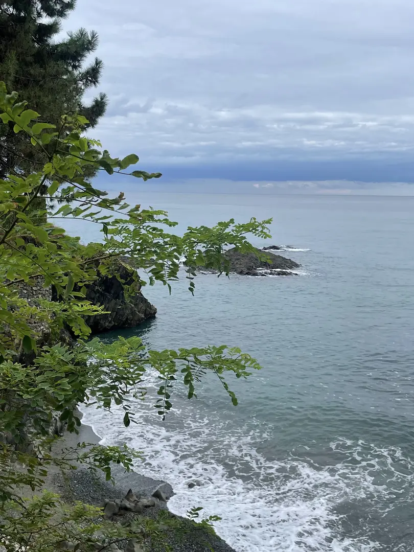 Gulak Camping & Cafe — Giresun — küçük resim 9
