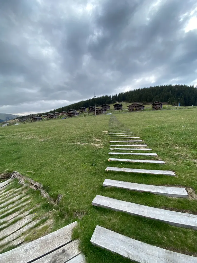 Koçkayası Tabiat Parkı — Giresun — küçük resim 3