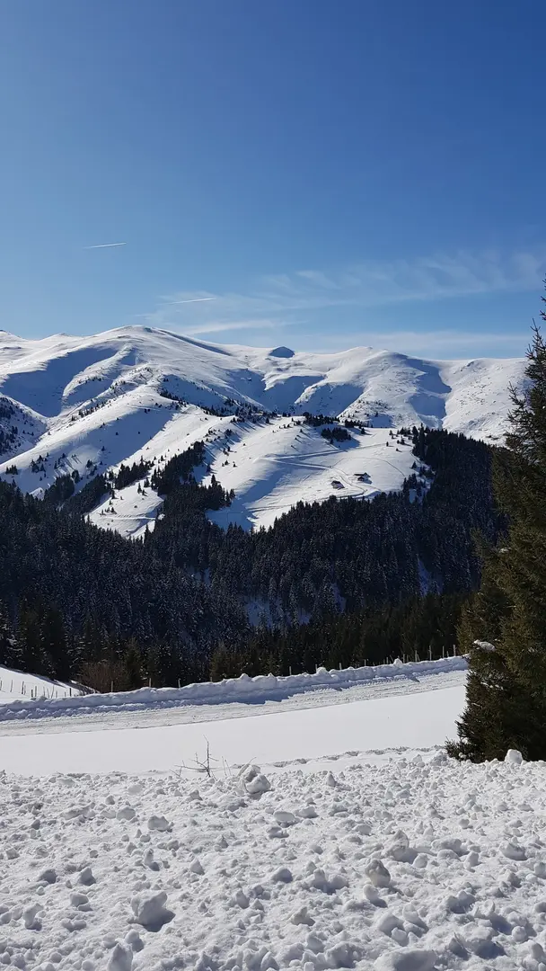Koçkayası Tabiat Parkı — Giresun — küçük resim 9