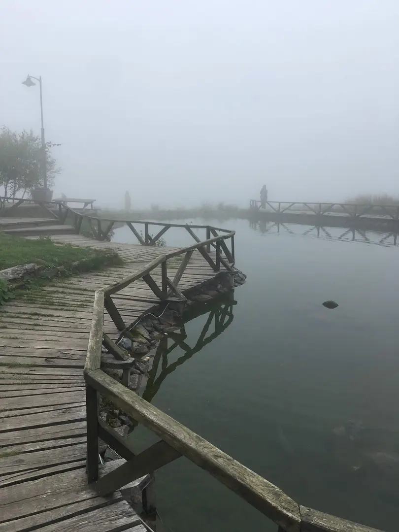 Koçkayası Tabiat Parkı — Giresun — küçük resim 8