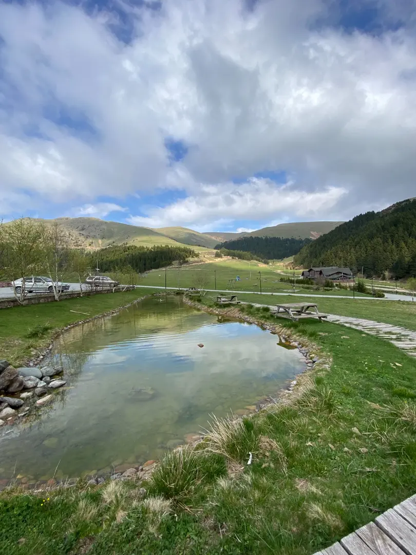 Koçkayası Tabiat Parkı — Giresun — küçük resim 7